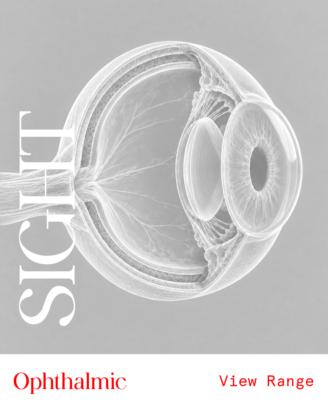 Opthalmic Instruments