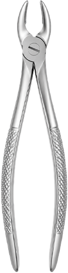 Dental Instruments